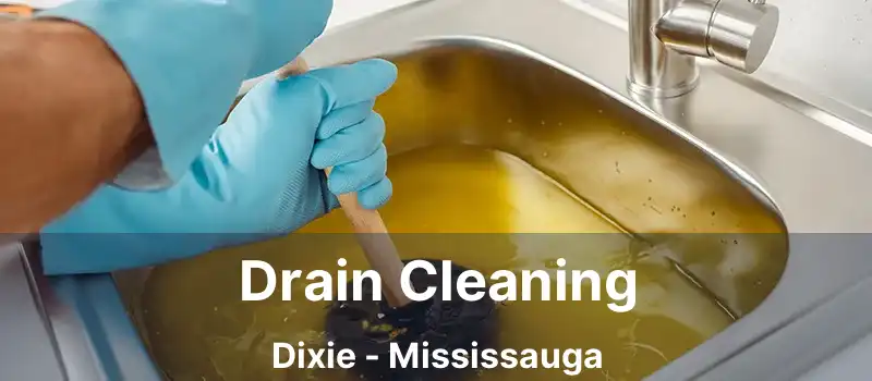  Drain Cleaning Dixie - Mississauga