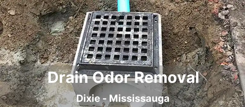  Drain Odor Removal Dixie - Mississauga